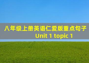 八年级上册英语仁爱版重点句子Unit 1 topic 1